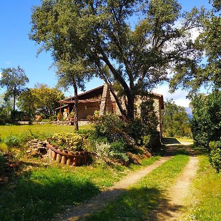 La Simona Casa Rural Perales del Puerto Екстериор снимка