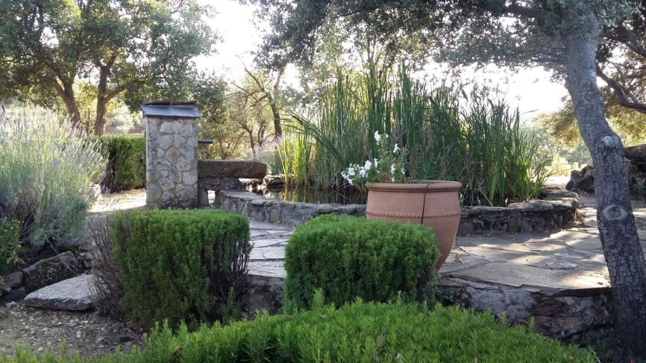 La Simona Casa Rural Perales del Puerto Екстериор снимка