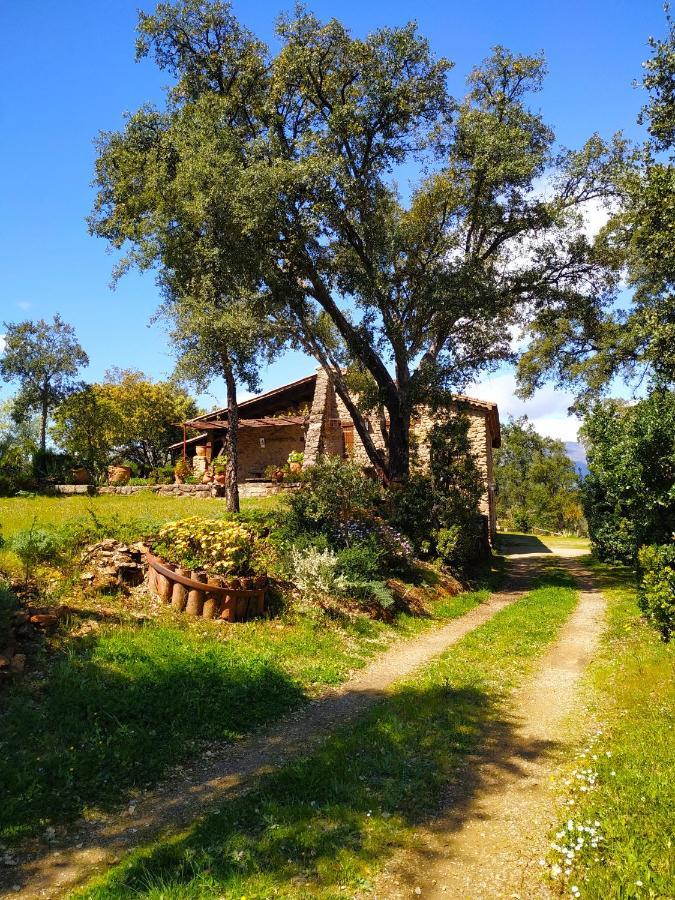 La Simona Casa Rural Perales del Puerto Екстериор снимка