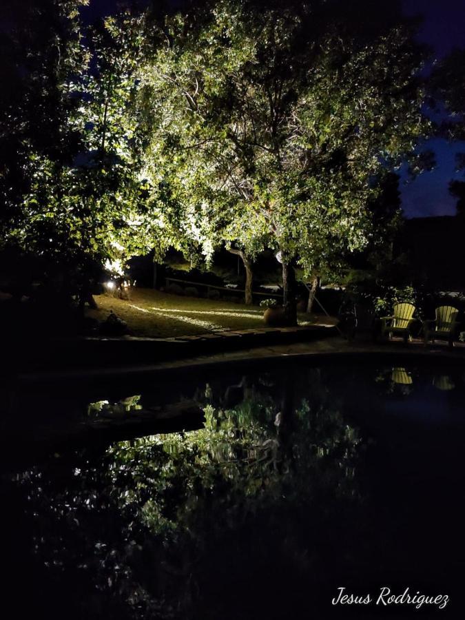 La Simona Casa Rural Perales del Puerto Екстериор снимка
