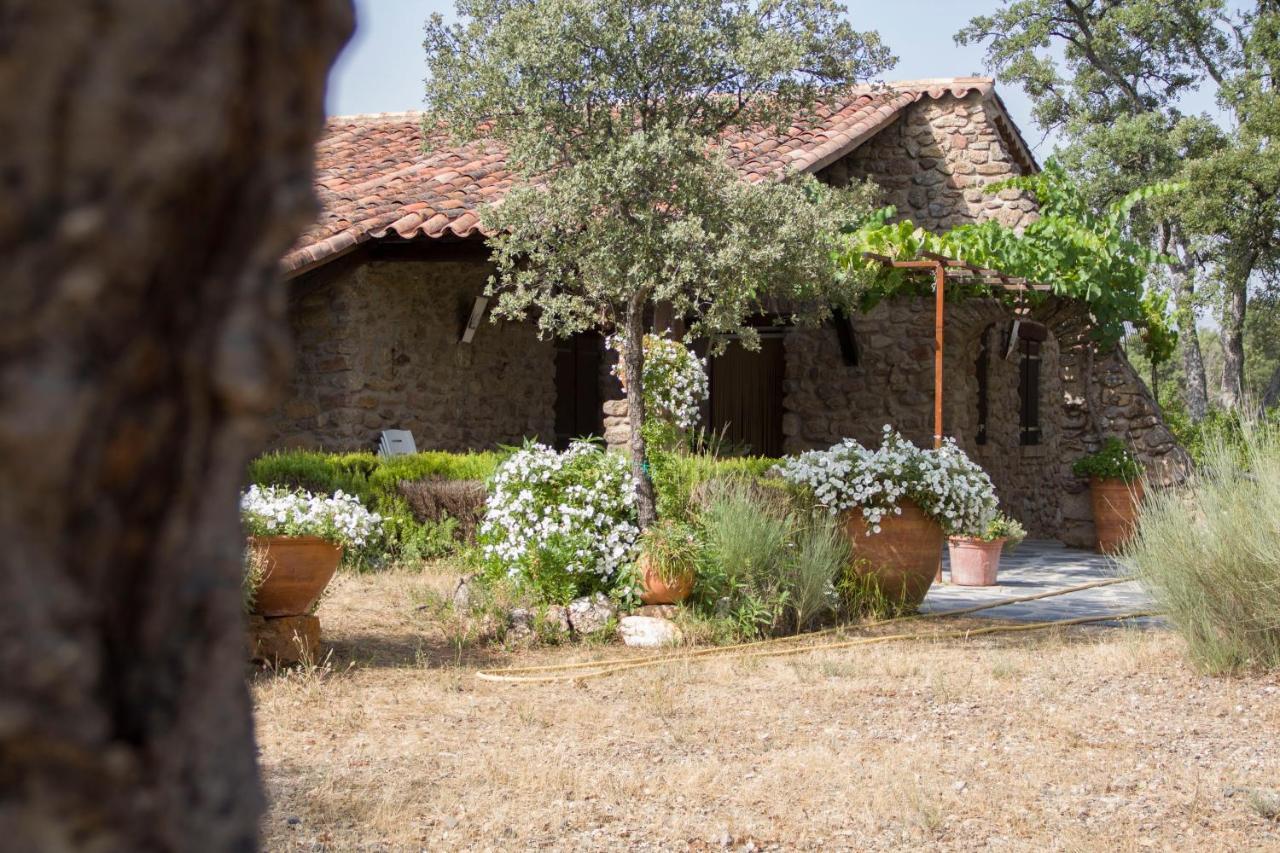 La Simona Casa Rural Perales del Puerto Екстериор снимка