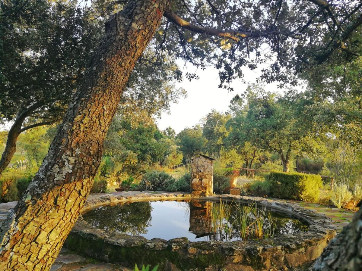 La Simona Casa Rural Perales del Puerto Екстериор снимка