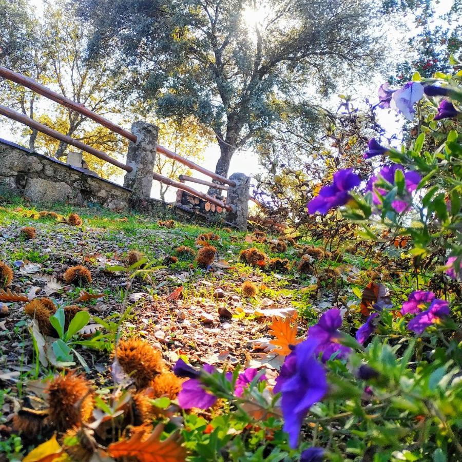 La Simona Casa Rural Perales del Puerto Екстериор снимка