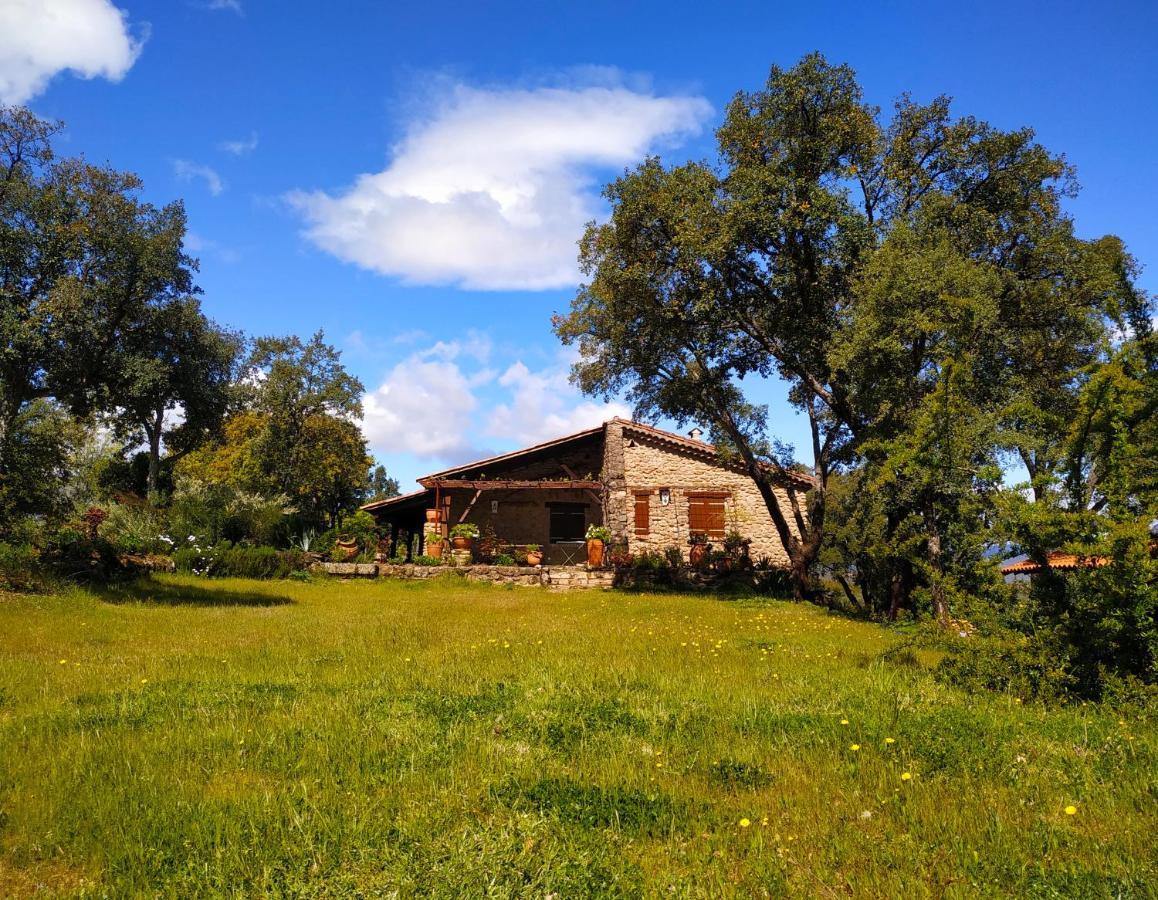 La Simona Casa Rural Perales del Puerto Екстериор снимка