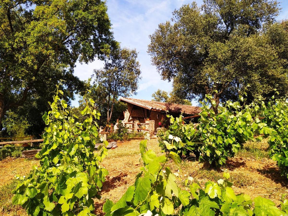 La Simona Casa Rural Perales del Puerto Екстериор снимка